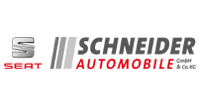 Pool_Schneider_Automobile.jpg